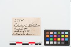 Etiketten zu Bronzeobjektkonvolut (NHMW-PRAE-023941)